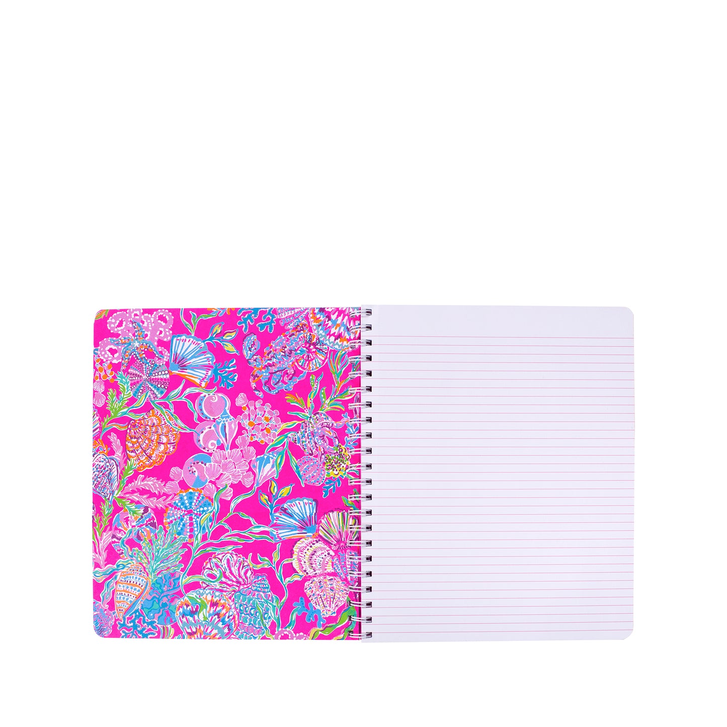 Large Notebook, Shell Me Something Good